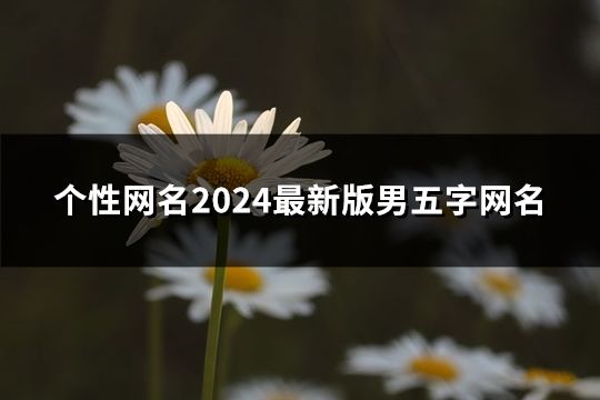 个性网名2024最新版男五字网名(215个)