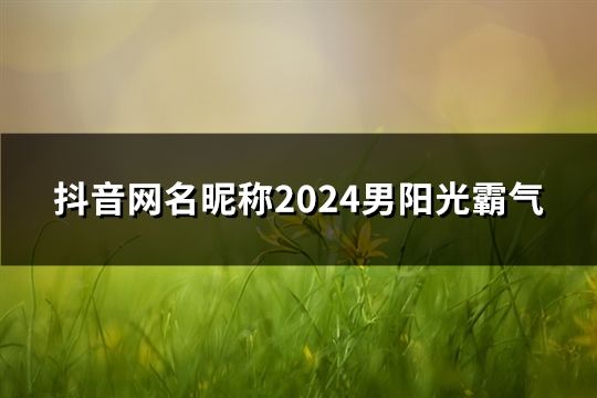 抖音网名昵称2024男阳光霸气(精选177个)