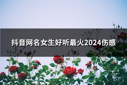 抖音网名女生好听最火2024伤感(共164个)