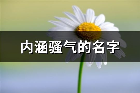 内涵骚气的名字(精选156个)