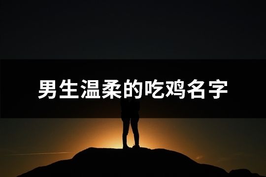 男生温柔的吃鸡名字(共504个)